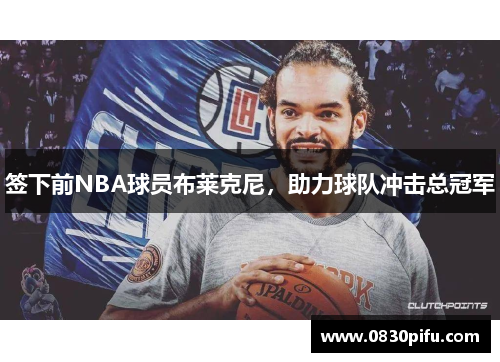 签下前NBA球员布莱克尼，助力球队冲击总冠军